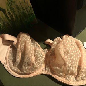 Brand new Freya Bra size US 36K.